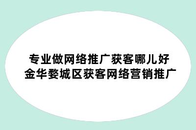 专业做网络推广获客哪儿好 金华婺城区获客网络营销推广